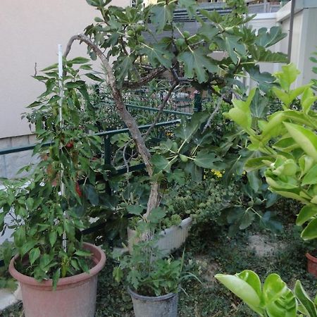 Apartman Paro Сплит Екстериор снимка