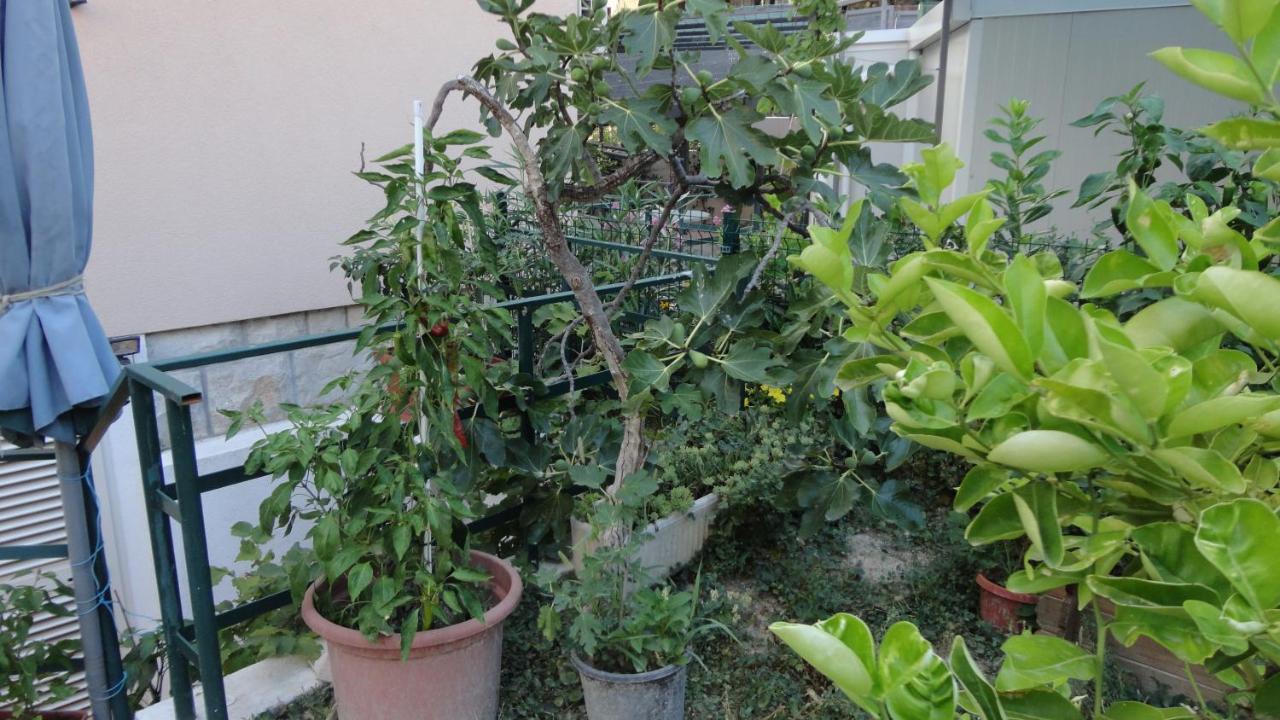 Apartman Paro Сплит Екстериор снимка