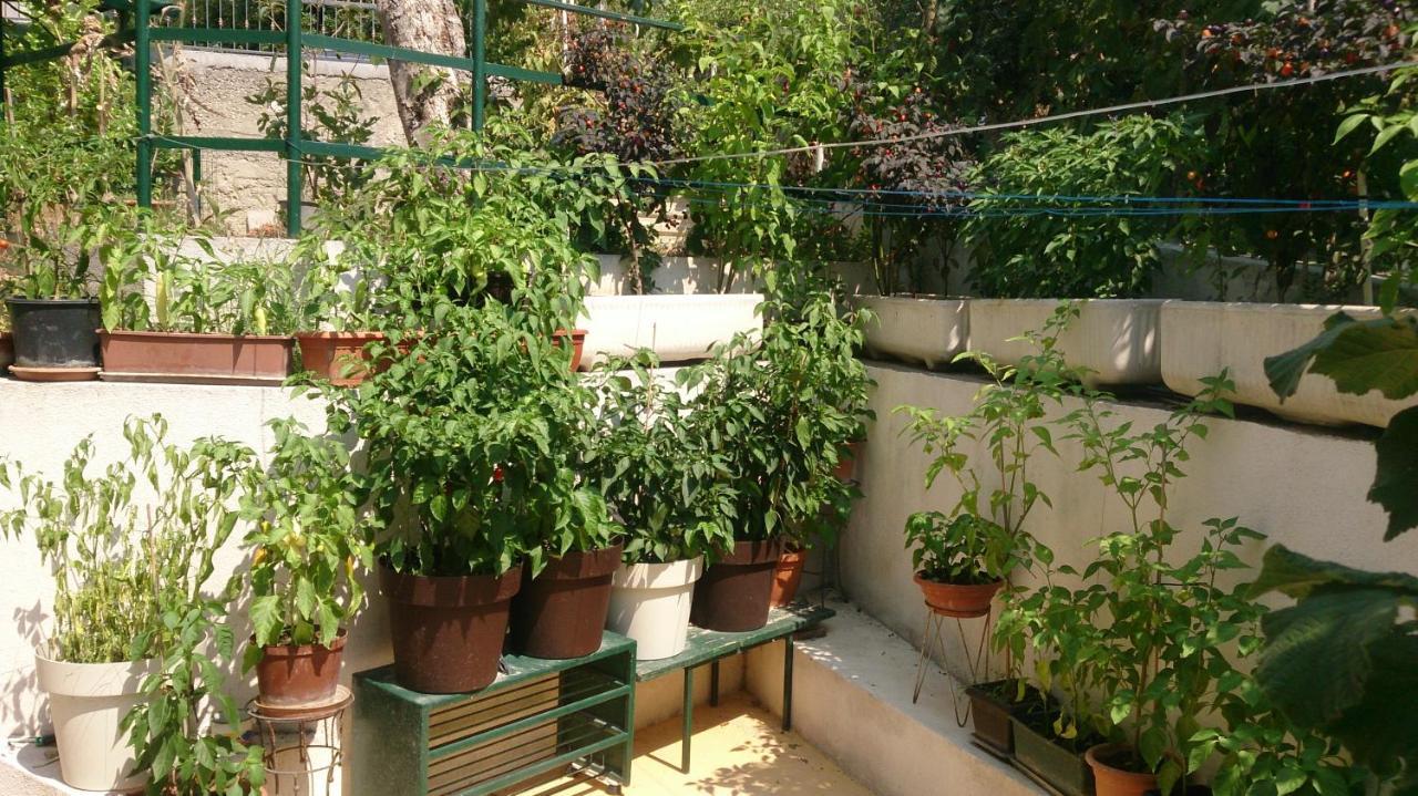 Apartman Paro Сплит Екстериор снимка