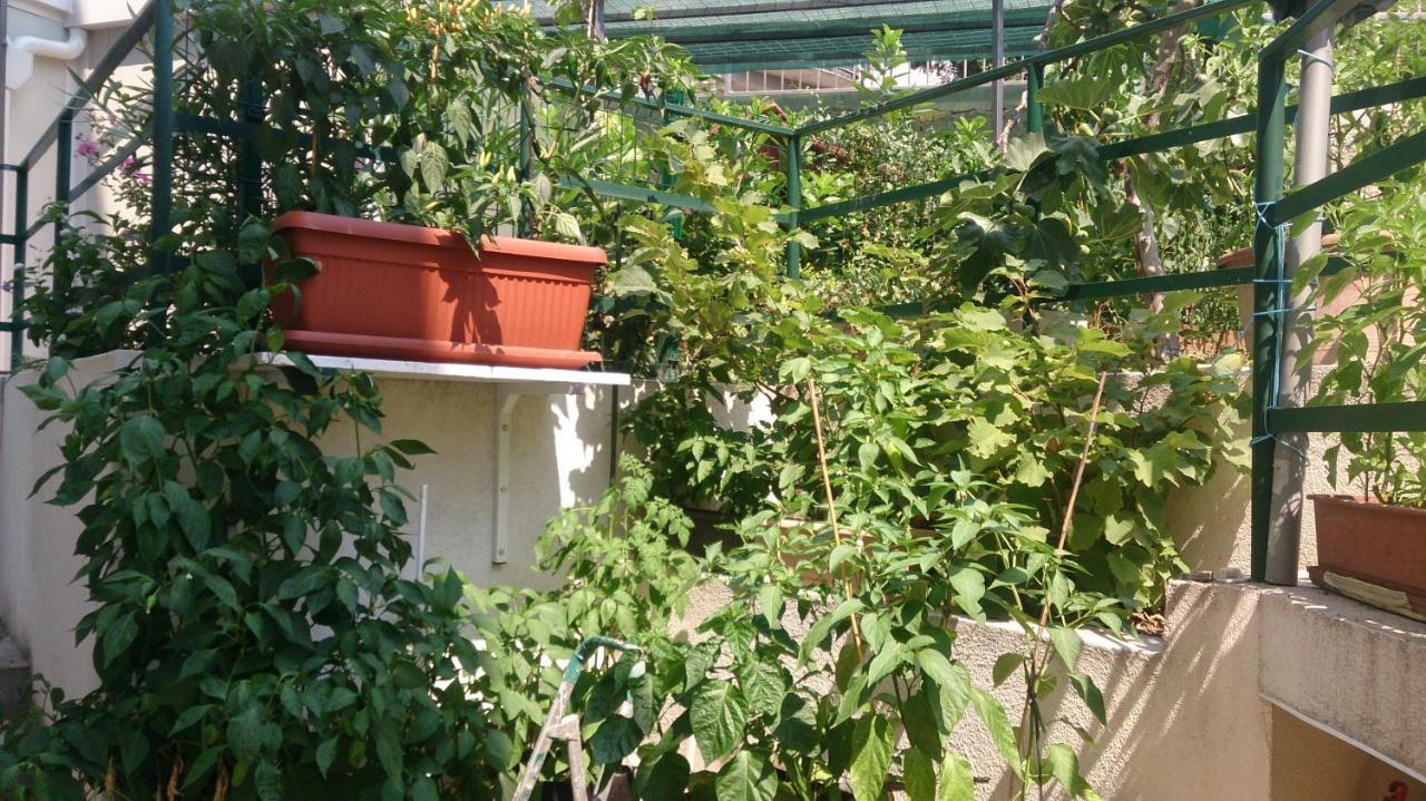 Apartman Paro Сплит Екстериор снимка